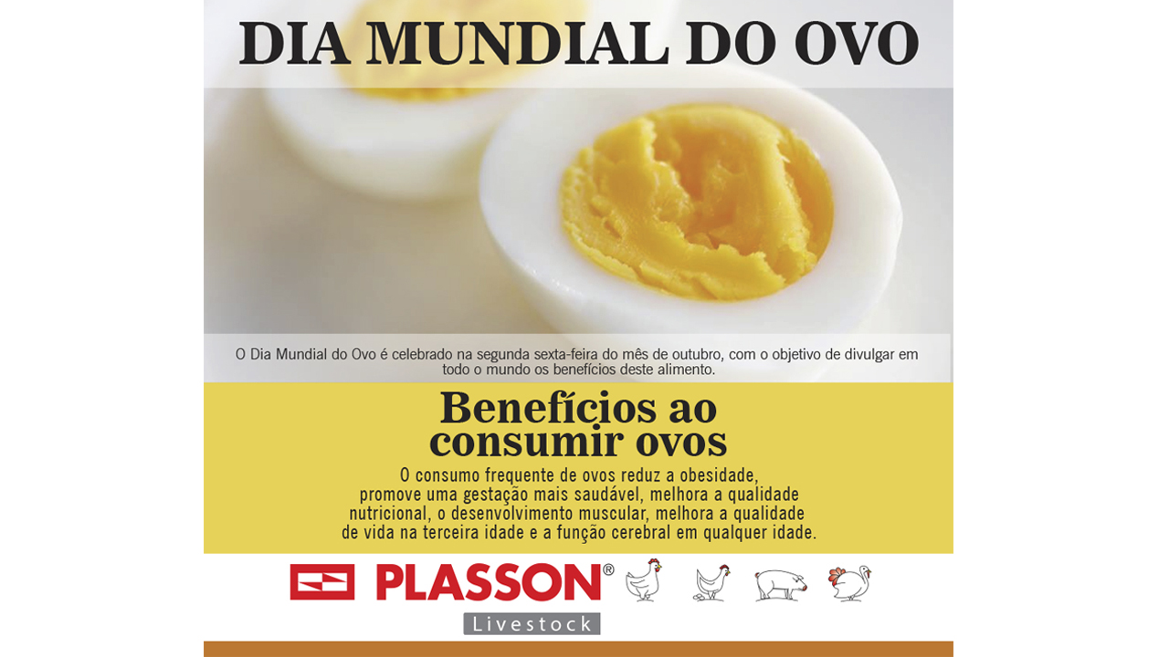 Sem imagem